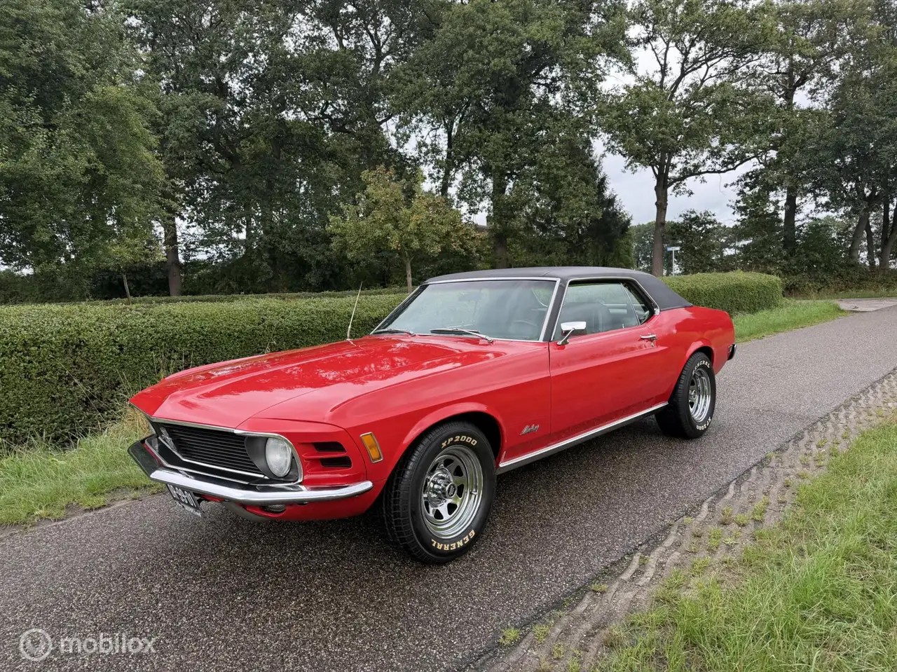 Ford Mustang USA 4.9 V8 Grande — photo 1 of 14