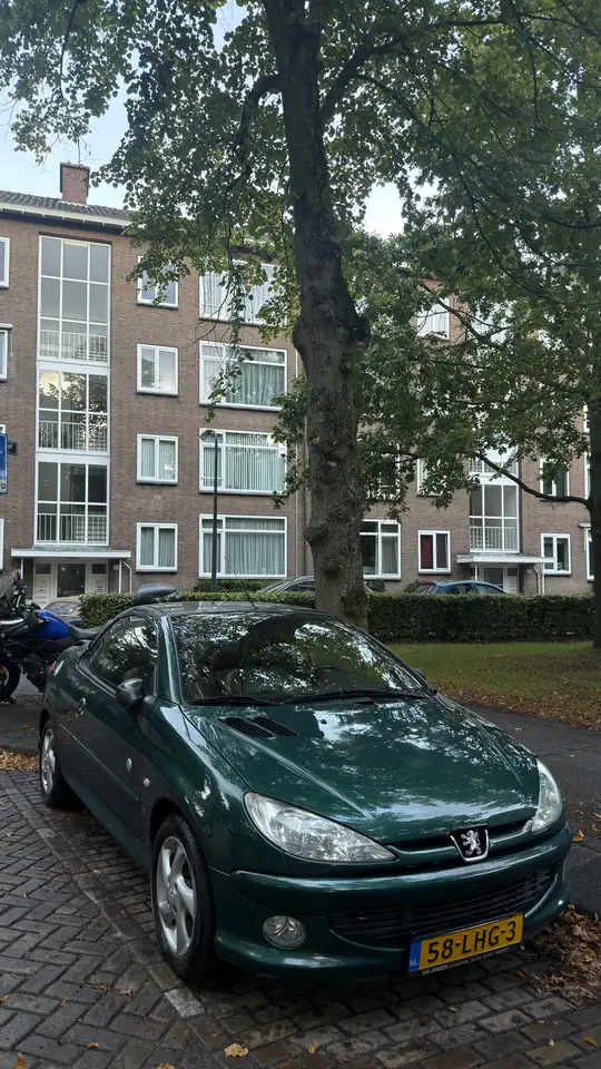 Peugeot 206 CC Nieuwe APK — photo 1 of 7