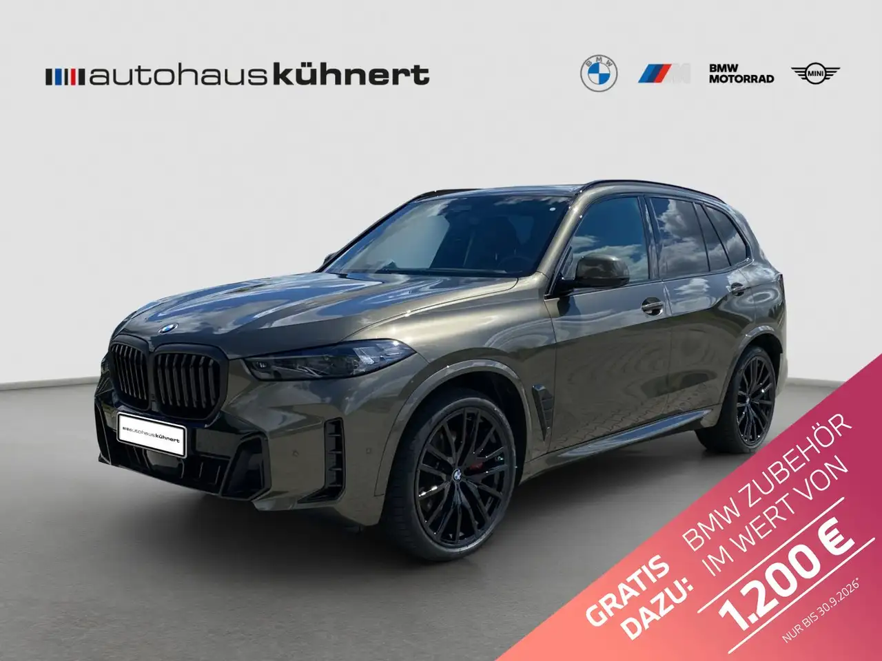 BMW X5 xDrive 30d ///M-Sport PRO ACC Luftfed. PanoSD — photo 1 of 20