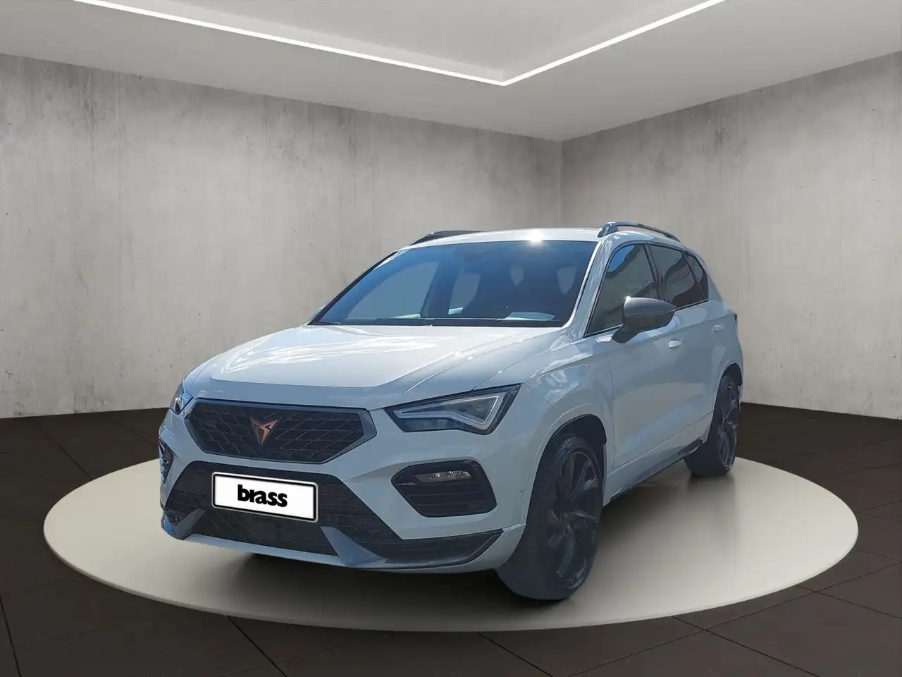 CUPRA Ateca VZ — photo 1 of 20