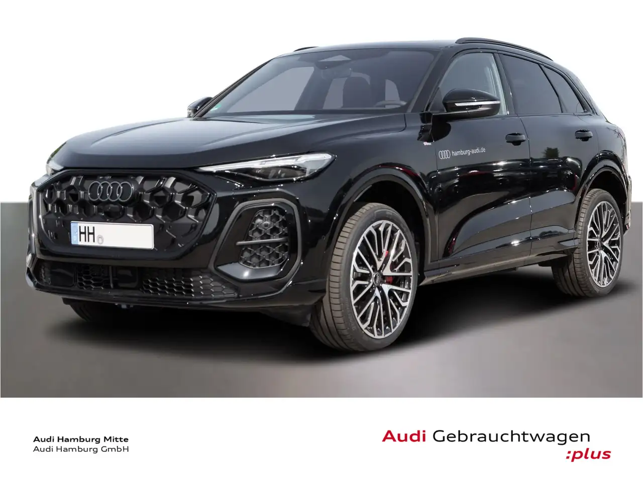 Audi Q5 TDI quattro S tronic S line Pano Standhzg — photo 1 of 18