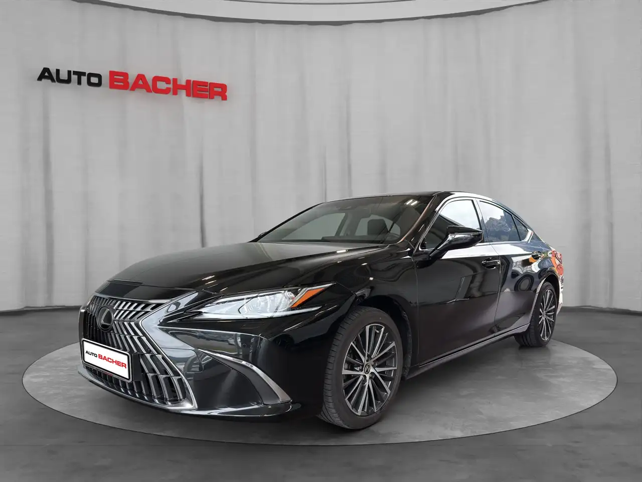 Lexus ES 300 Business Line 218 PS — photo 1 of 11