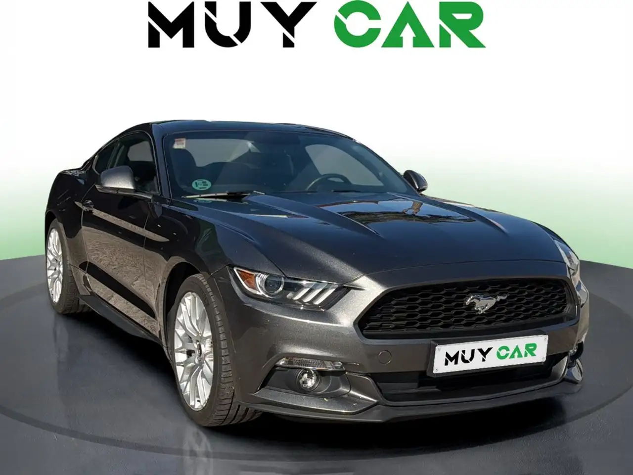 Ford Mustang Fastback 2.3 EcoBoost — photo 1 of 18