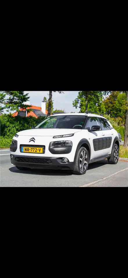 Citroen C4 Cactus 1.2 PureT. Business — photo 1 of 19