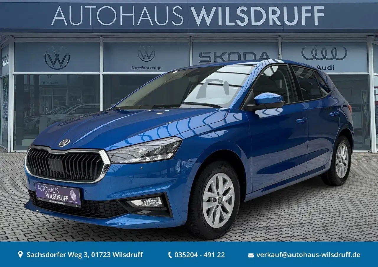 Skoda Fabia Selection 1.0 TSi Edition 130 DSG LED RFK — photo 1 of 15