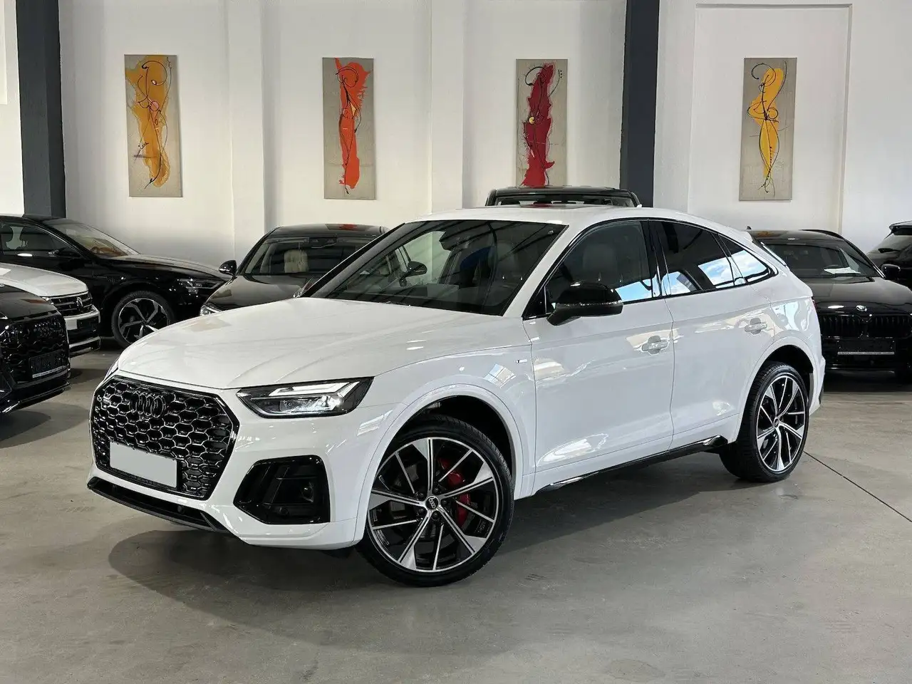 Audi Q5 50 TDI quattro S line — photo 1 of 18