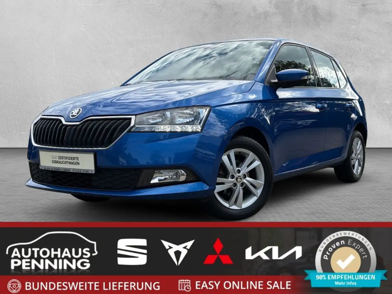 Skoda Fabia Drive 1.0 MPI Lichtsensor Klima PDC Servo SHZ — photo 1 of 28