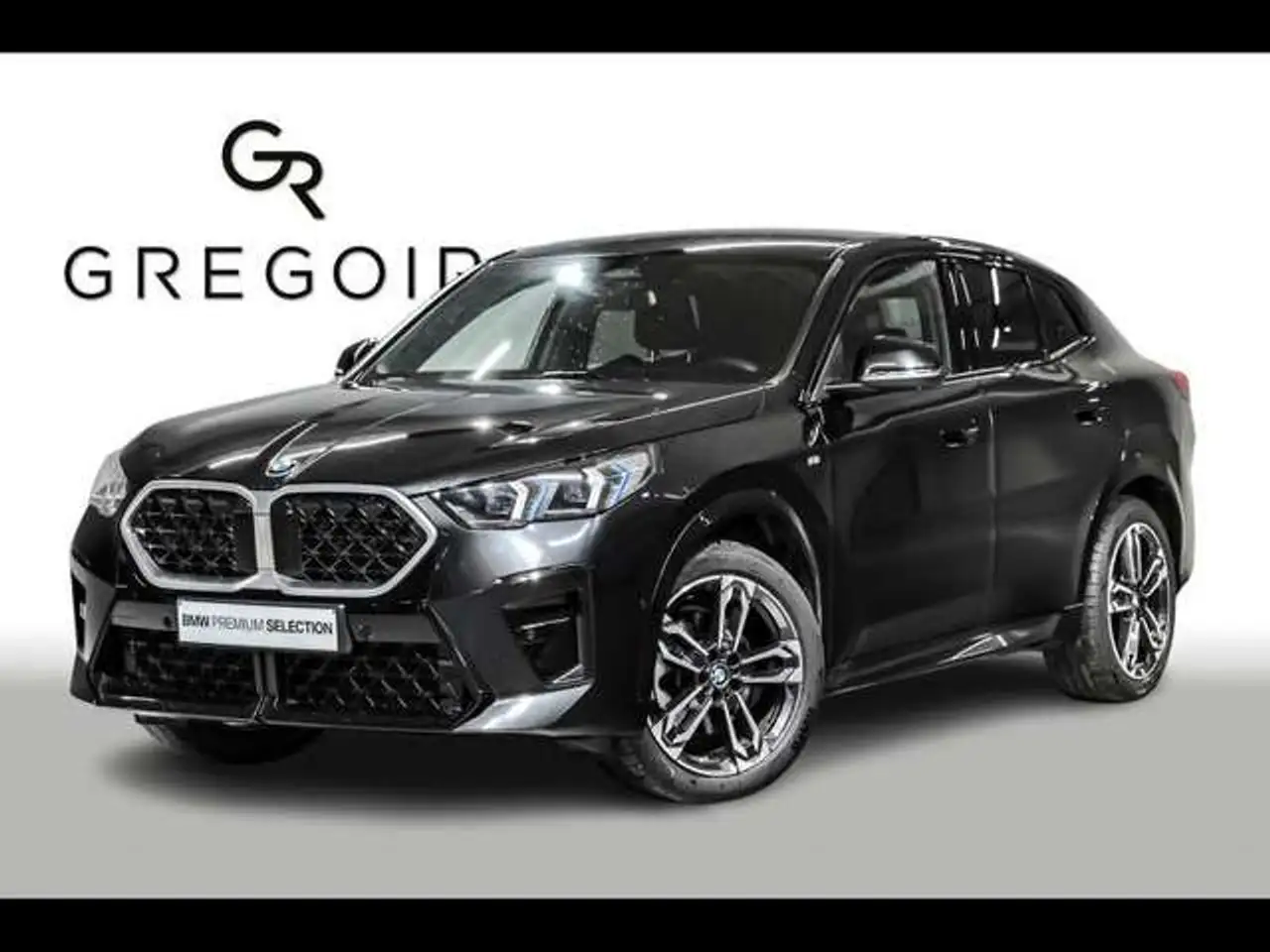 BMW X2 sDrive20i - MPACK|DASS+|CAM|PANO|H&K|COMFORT — photo 1 of 22
