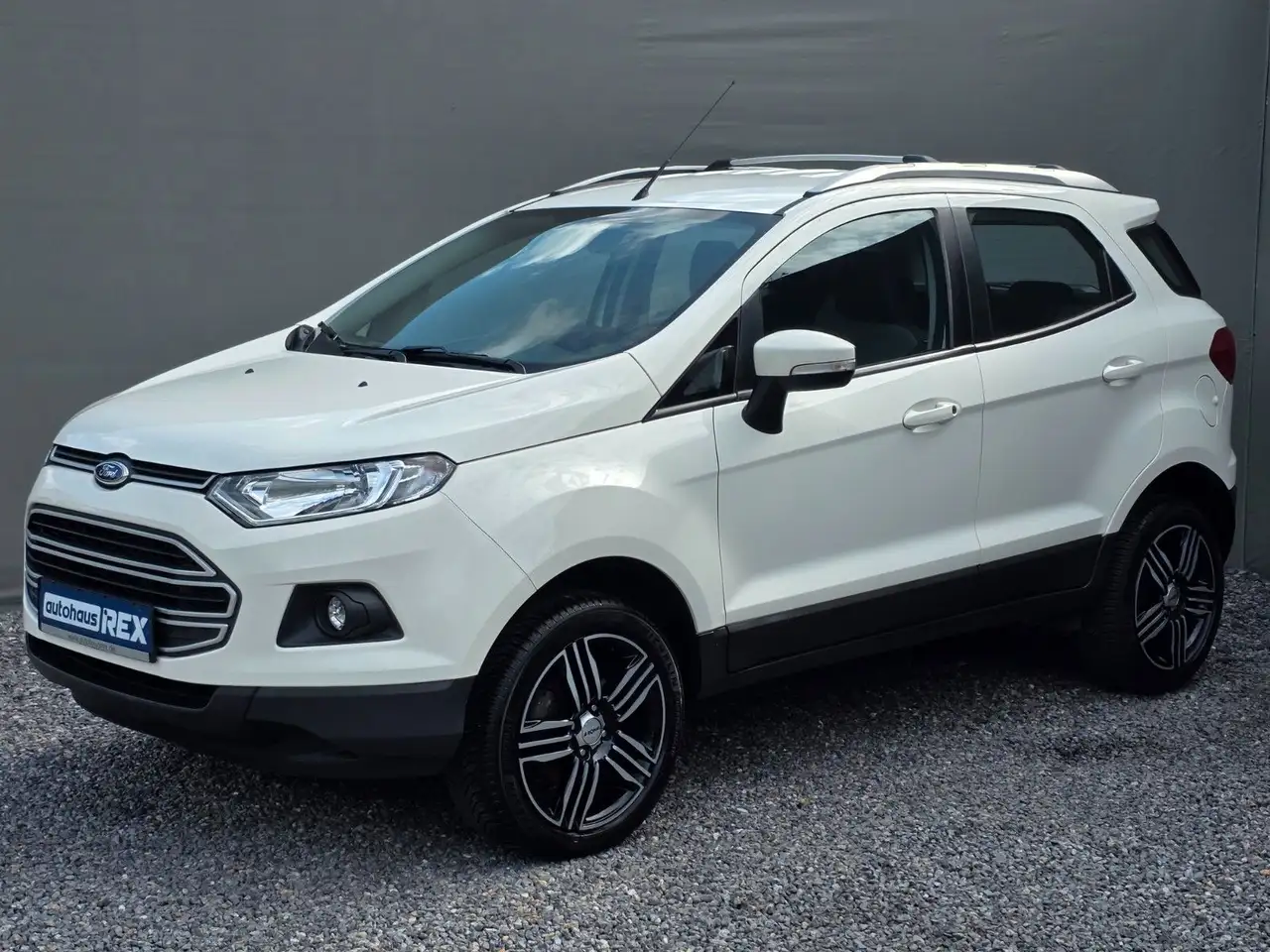 Ford EcoSport Trend — photo 1 of 15