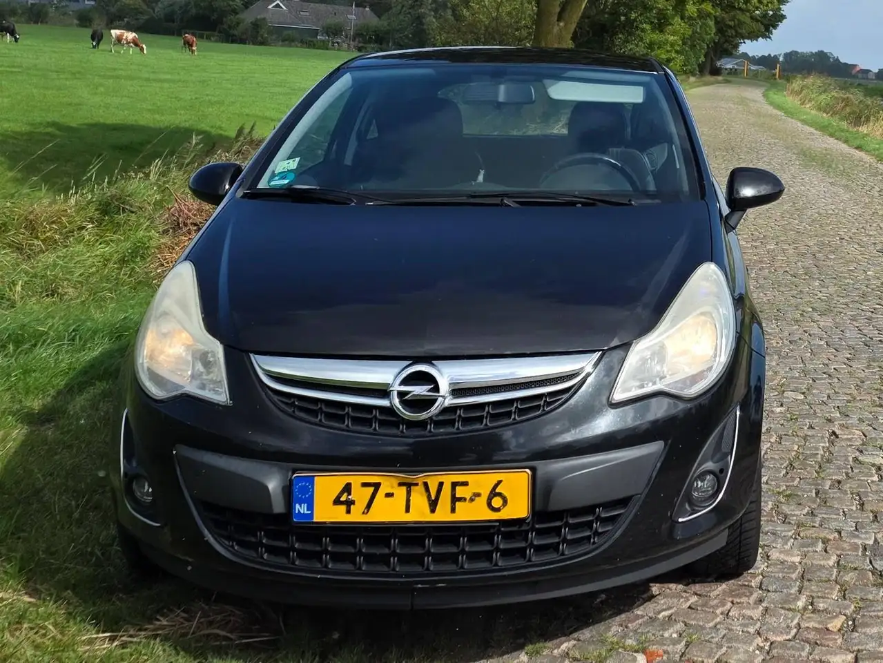 Opel Corsa Ecoline lpg — photo 1 of 12