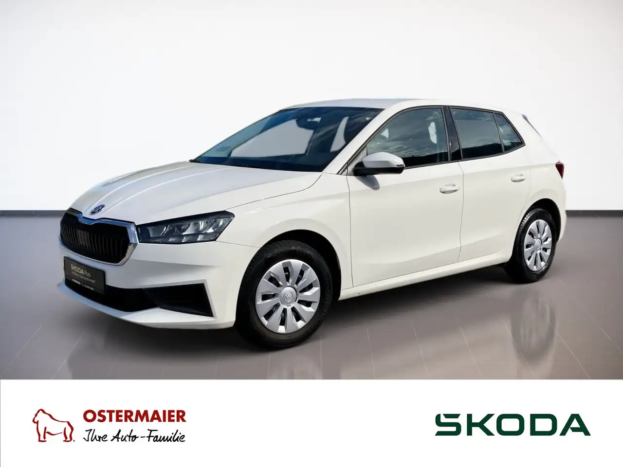 Skoda Fabia ACTIVE 1.0 MPI 80PS PDC.LED.DAB+.USB.SHZ — photo 1 of 15