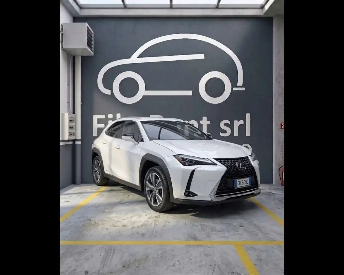 Lexus UX 300e 300e 54,3kWh Luxury — photo 1 of 15