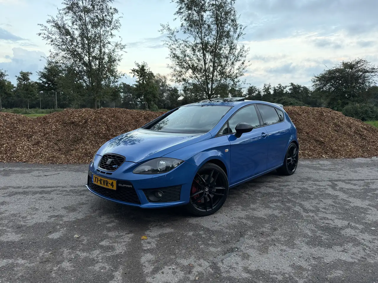 SEAT Leon 2.0 TFSI Cupra R — photo 1 of 15