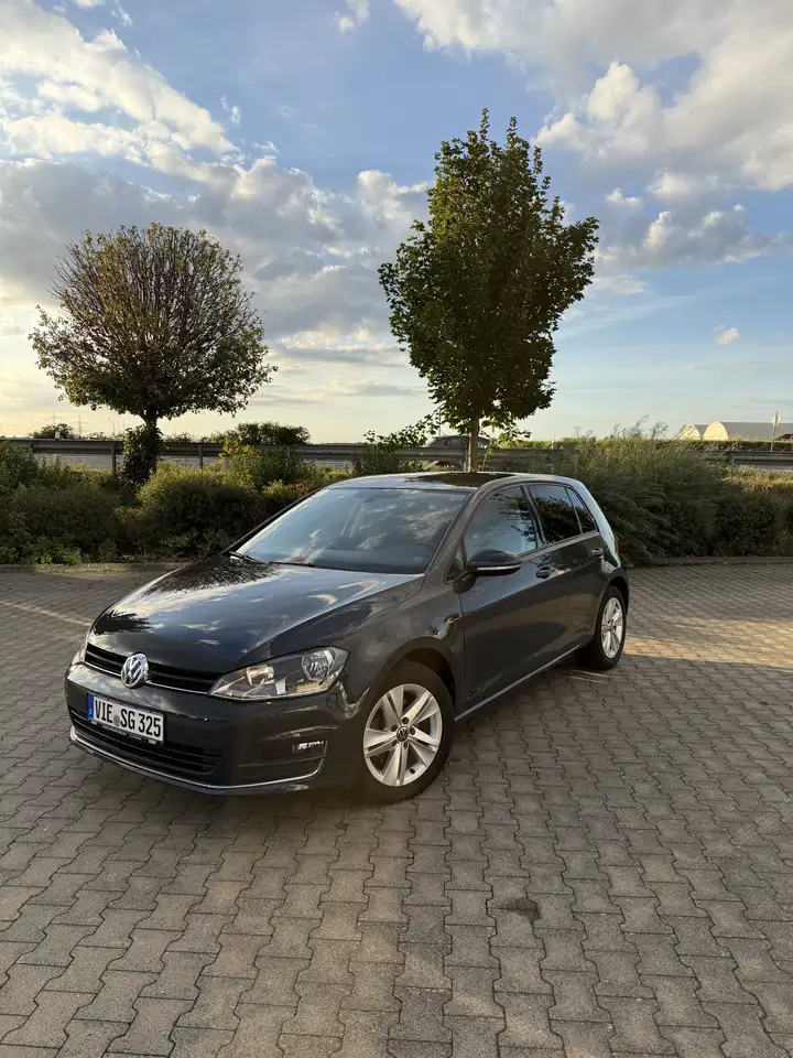 Volkswagen Golf 1.6 TDI BlueMotion Technology DSG Allstar — photo 1 of 12