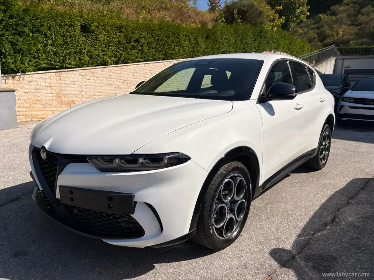 Alfa Romeo Tonale 1.6 diesel 130 CV TCT6 Sprint — photo 1 of 18