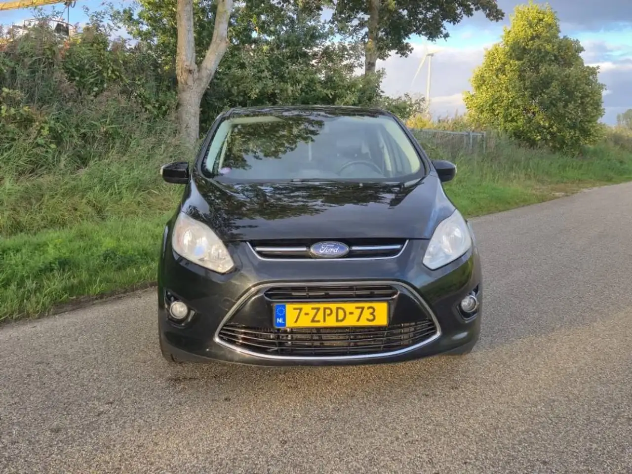 Ford C-Max C-Max 1.0 EcoBoost Titanium 125 PK | 7-persoons | Panoramadak — photo 1 of 11