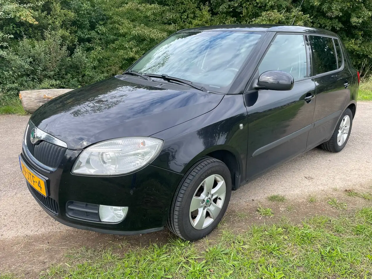 Skoda Fabia Fabia 1.4-16V Elegance — photo 1 of 18