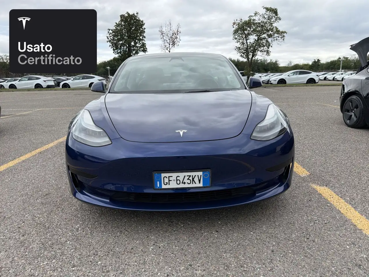 2021 Tesla Model 3 Rear-Wheel Drive, photograph 2