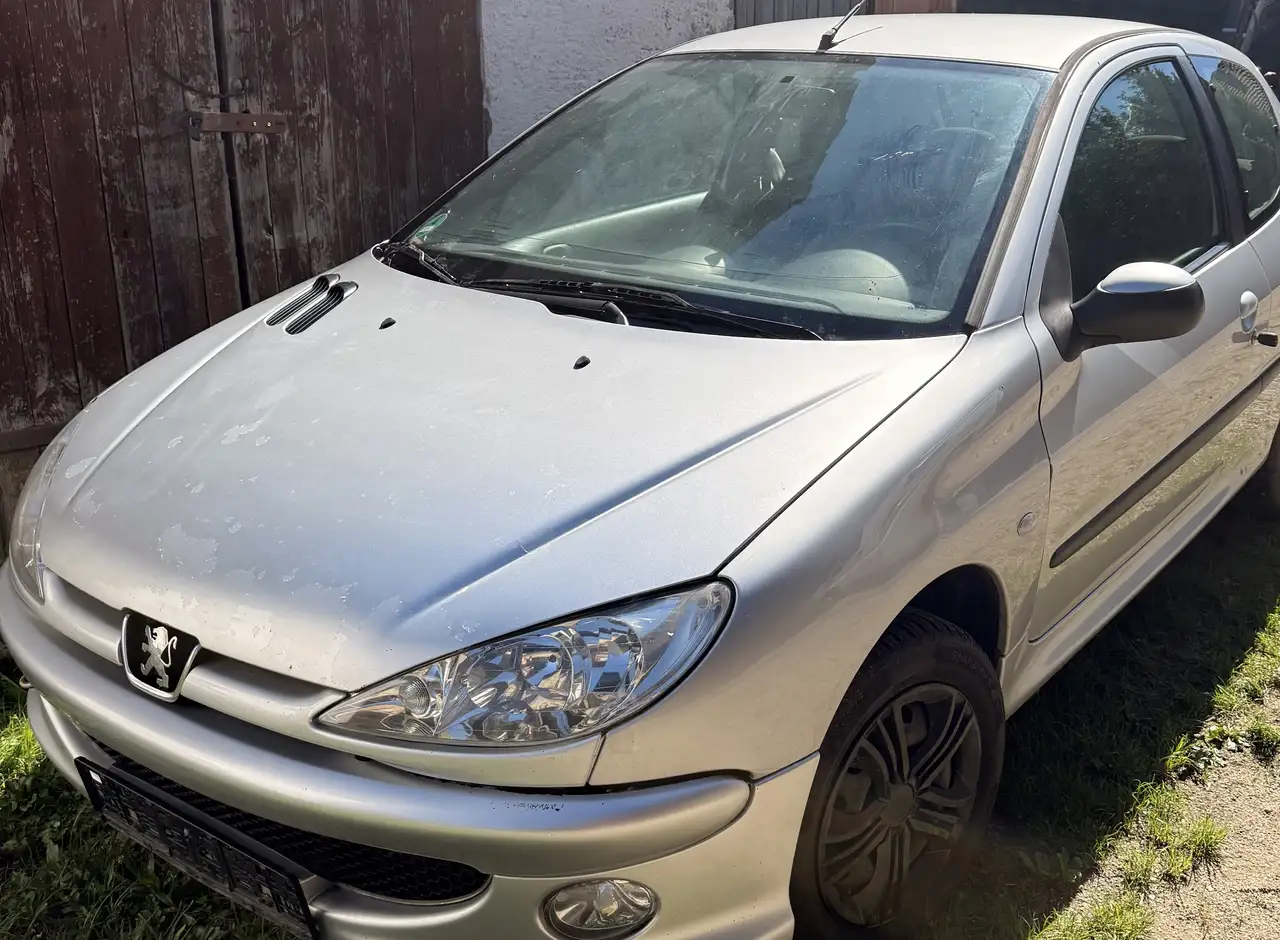 Peugeot 206 75 Grand Filou — photo 1 of 9