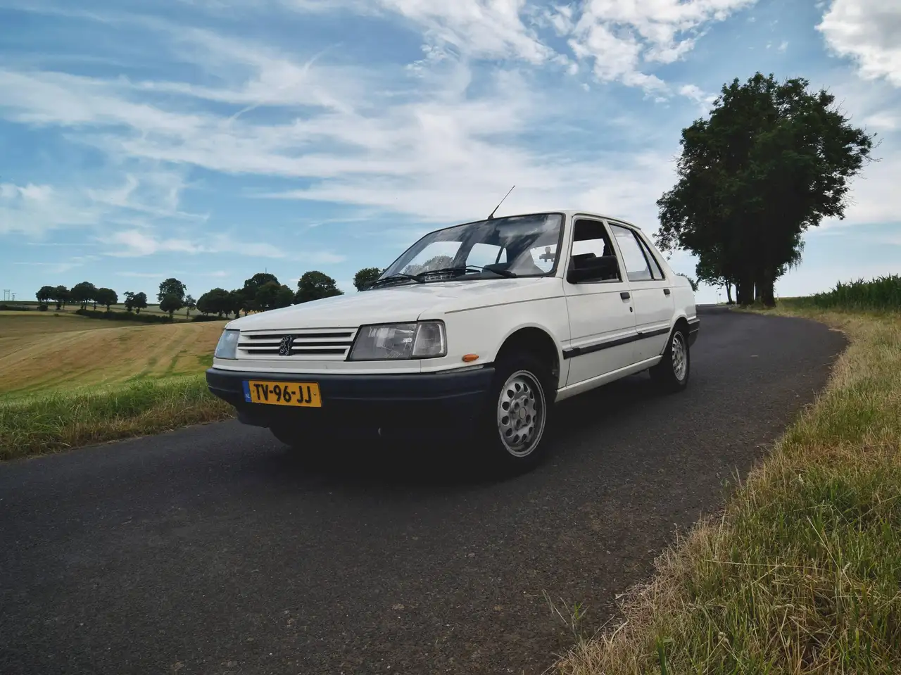 Peugeot 309 1.3 GL Profil — photo 1 of 6