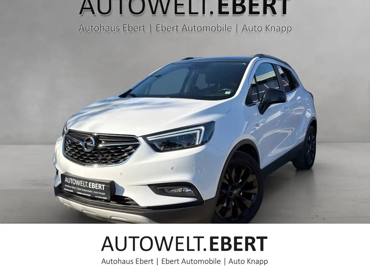 Opel Mokka X 1.4 Turbo Color Innovation/AHK/PDC/ — photo 1 of 16