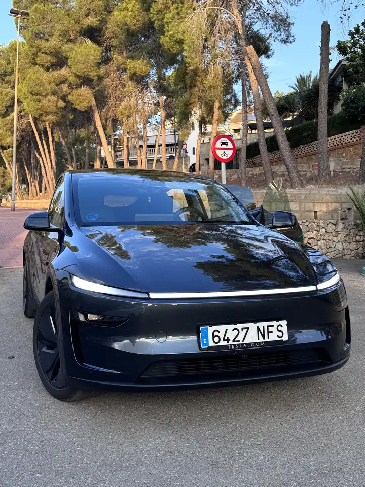 Tesla Model Y Premium RWD — photo 1 of 11