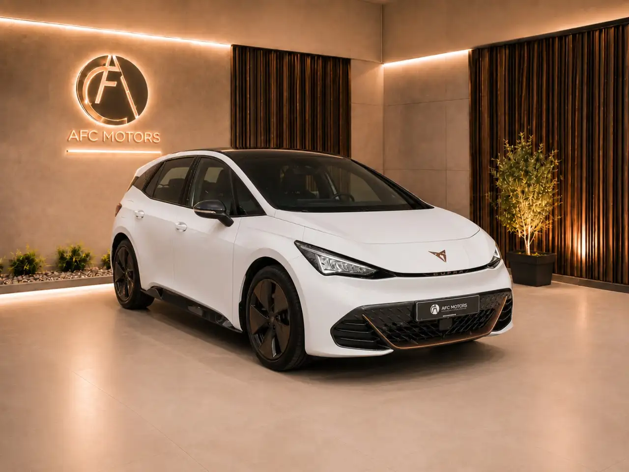 CUPRA Born V 204 CH — photo 1 of 30