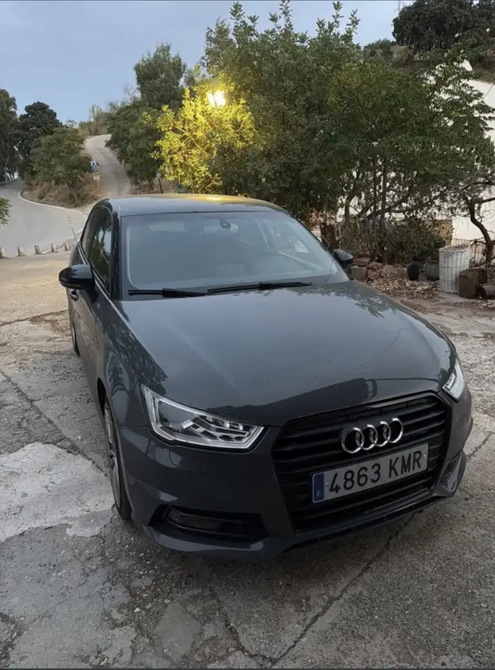 Audi A1 Sportback 1.6TDI Active Kit — photo 1 of 8