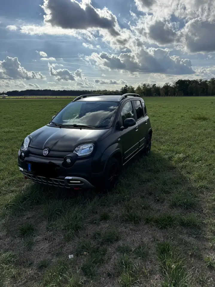 Fiat Panda Wild 4x4 — photo 1 of 20