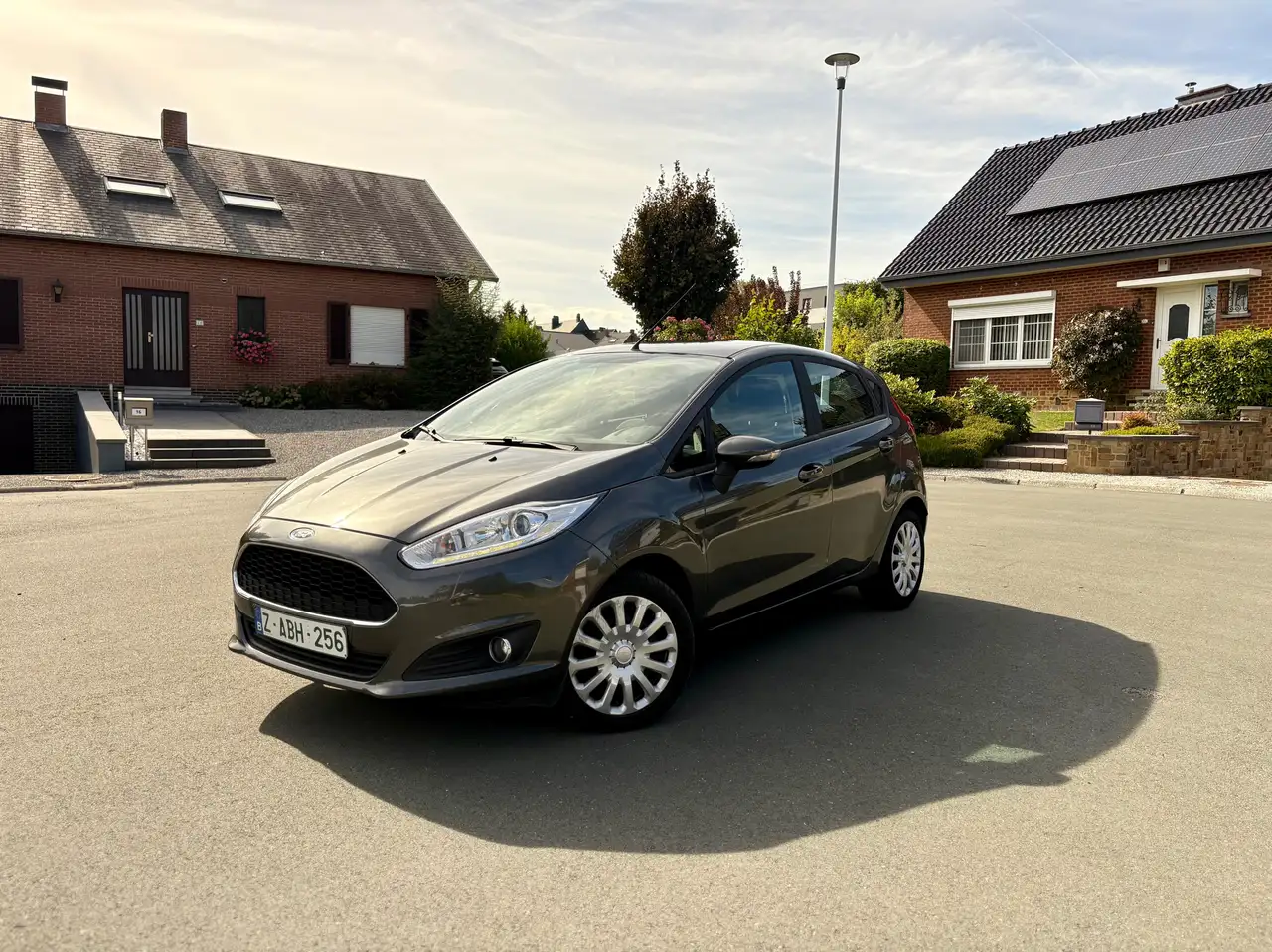 Ford Fiesta Fiesta 1.0 EcoBoost Trend S/S — photo 1 of 14
