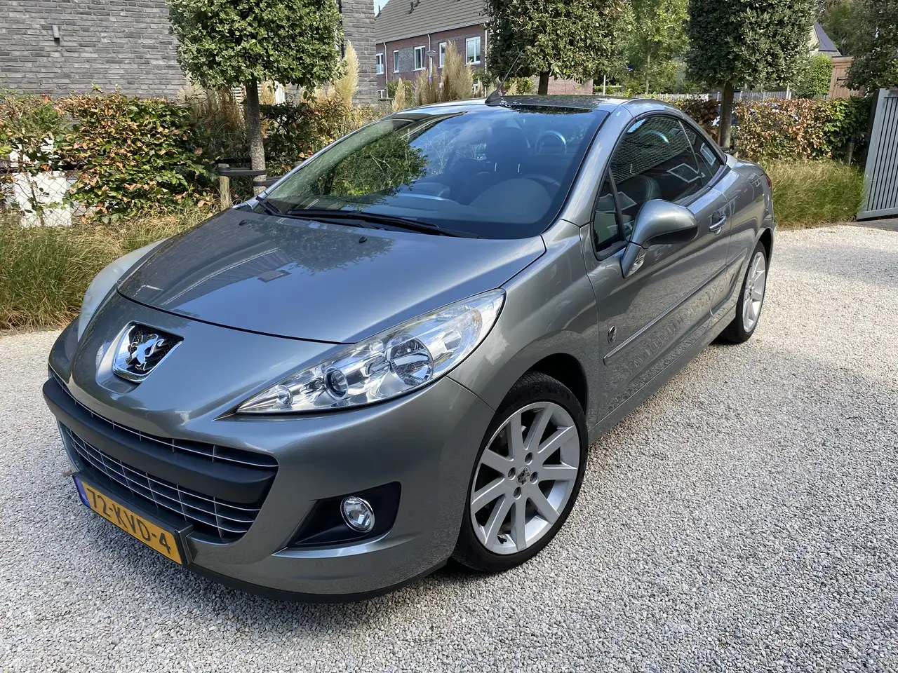 Peugeot 207 1.6 VTi Roland G. — photo 1 of 11