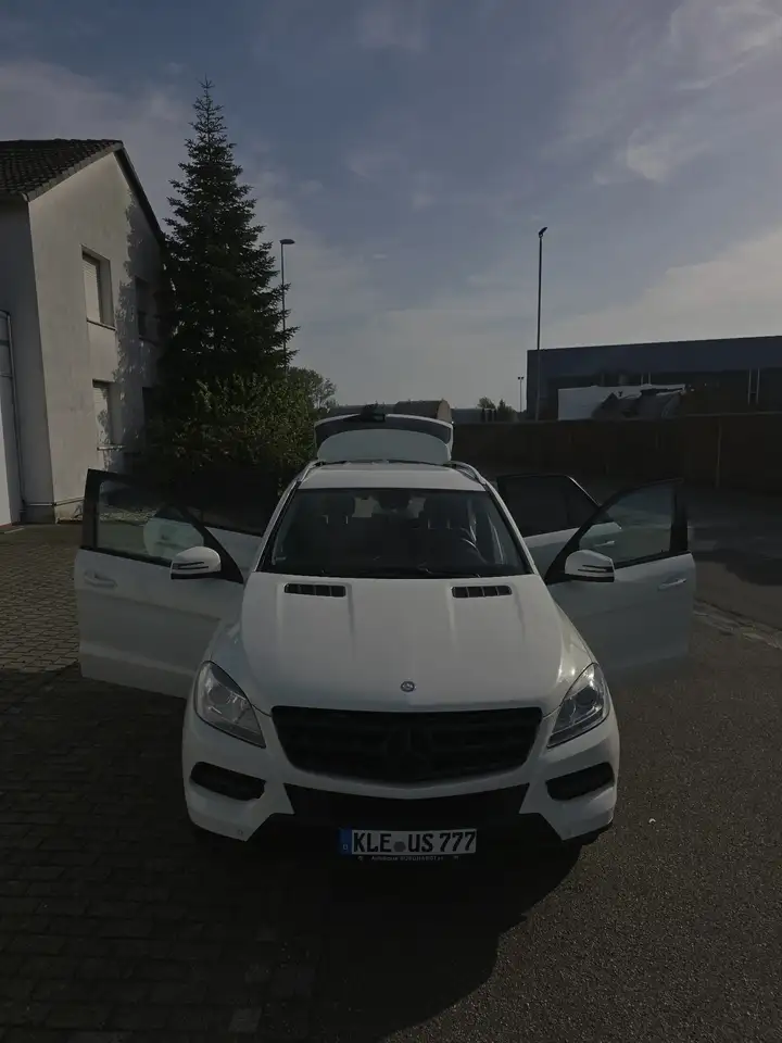 Mercedes-Benz ML 250 BlueTEC 4MATIC 7G-TRONIC — photo 1 of 11