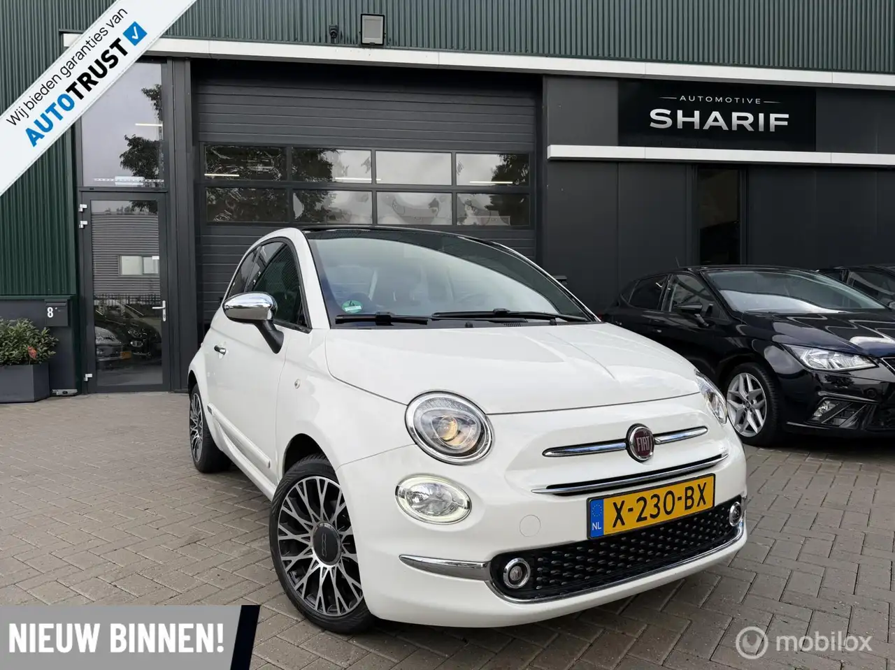Fiat 500 1.0 Hybrid Launch Edition CarPlay|Pano|Leder|Navi| — photo 1 of 30
