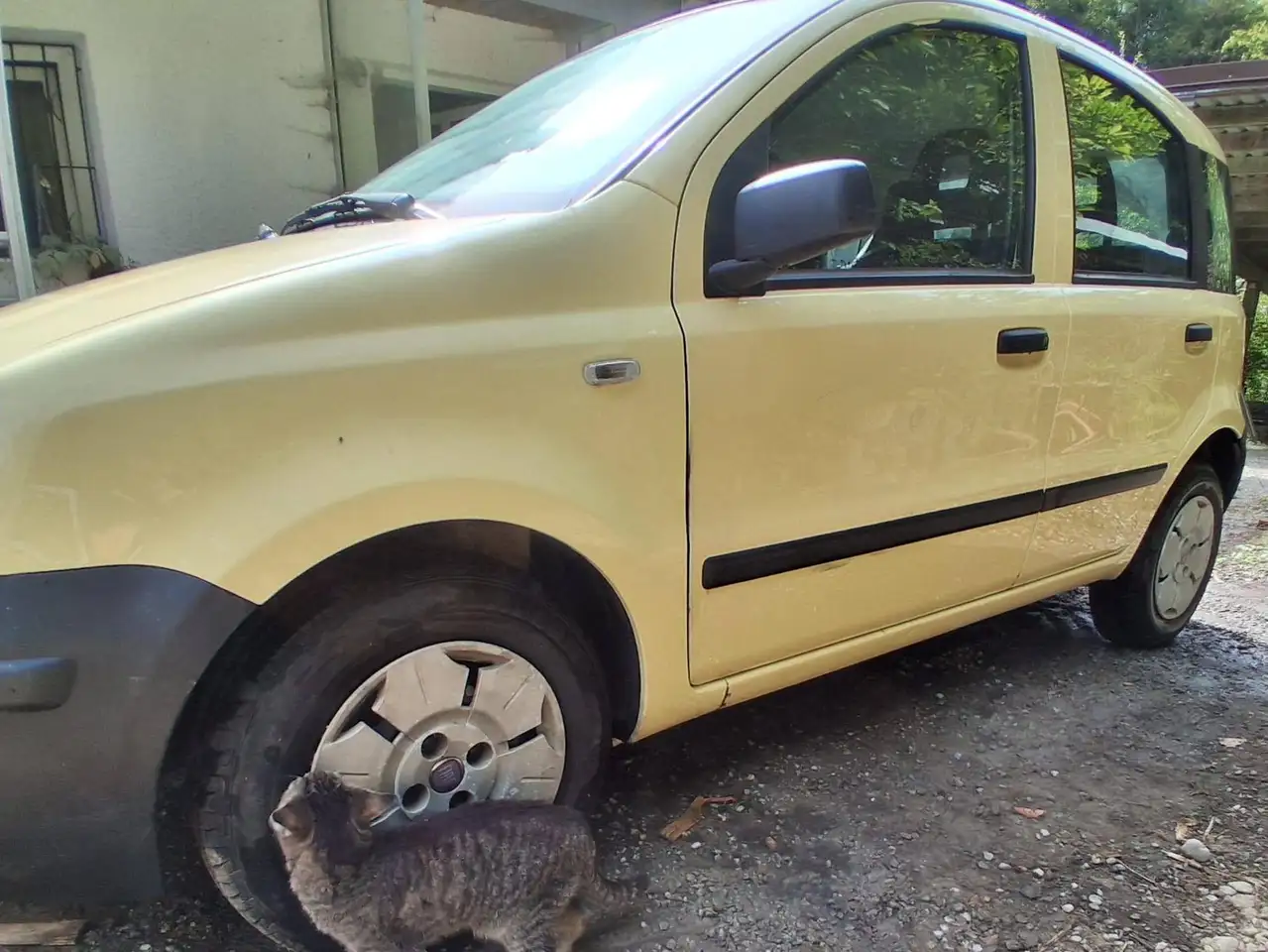 Fiat Panda Panda 1.1 — photo 1 of 6