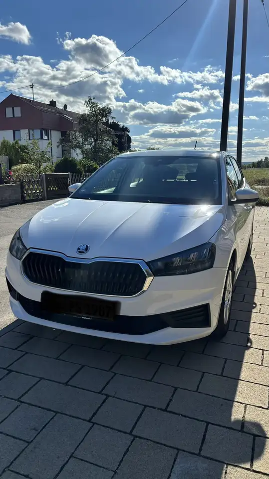 Skoda Fabia Active 1.0 MPI — photo 1 of 11