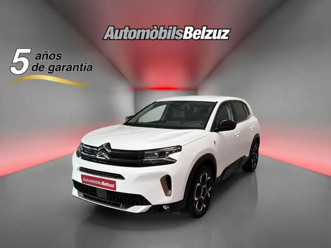Citroen C5 Aircross BlueHDi S&S C-Series EAT8 130 — photo 1 of 15