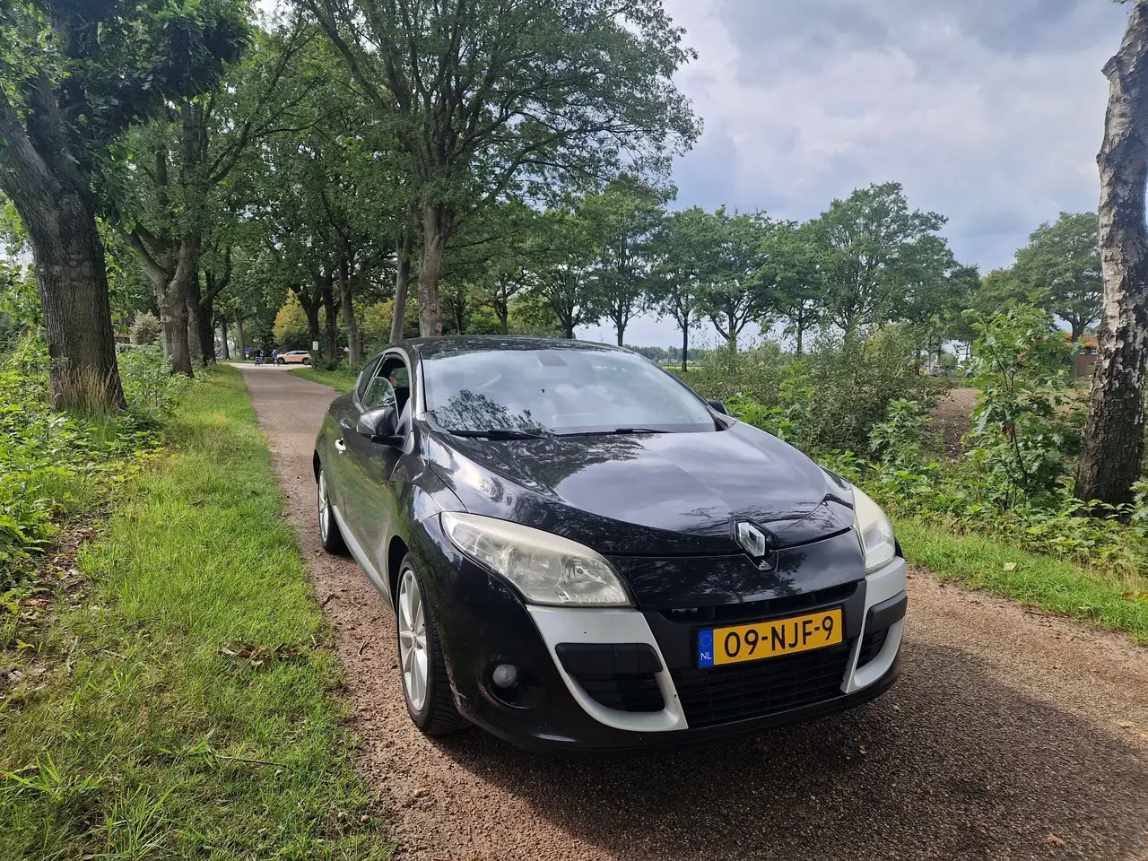 Renault Megane Megane 1.4 TCe Dynamique — photo 1 of 17