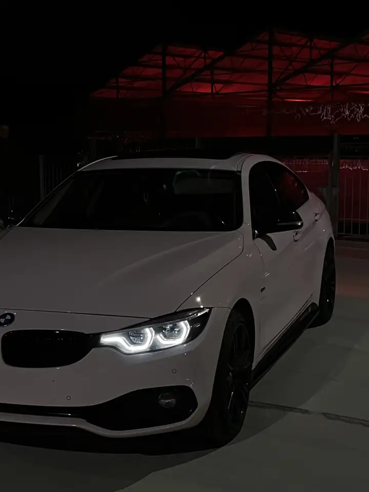 BMW 430 Gran Coupé 430iXAS — photo 1 of 3