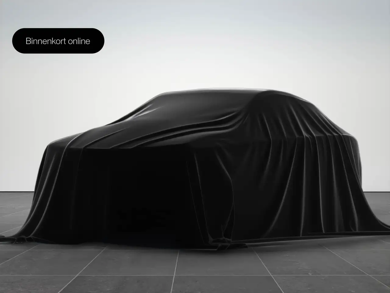 Audi SQ8 4.0 TFSI 507pk Quattro Pano S-stoelen B&O HuD Stan — photo 1 of 6