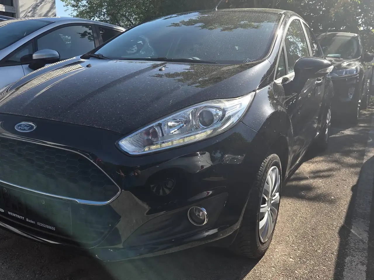 Ford Fiesta Celebration — photo 1 of 6