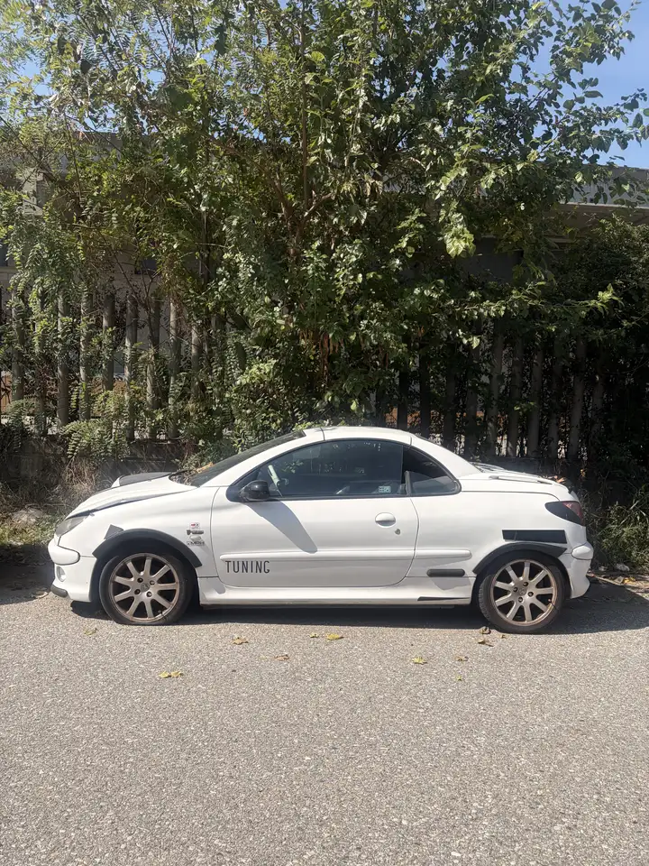 Peugeot 206 CC 1.6 16v — photo 1 of 3