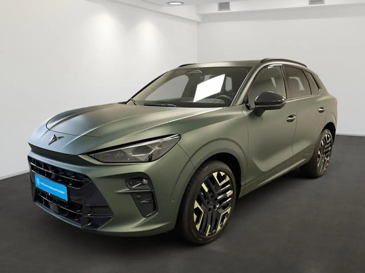 CUPRA Terramar VZ 2.0 TSI DSG - 4Drive Pano HUD Navi ACC LED Kame — photo 1 of 12