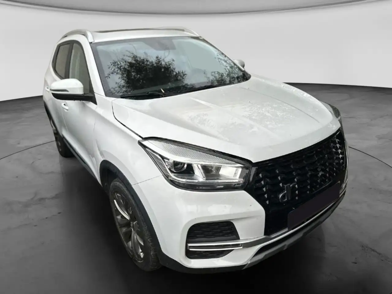 DR Automobiles DR4.0 1.5 — photo 1 of 15