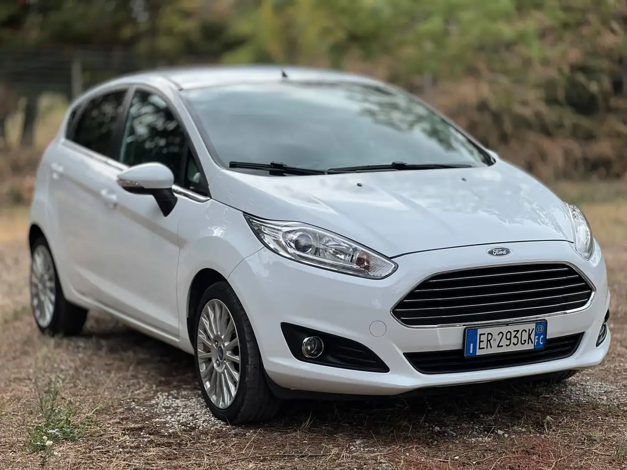 Ford Fiesta Fiesta VI 2013 5p 1.0 Titanium 80cv — photo 1 of 15