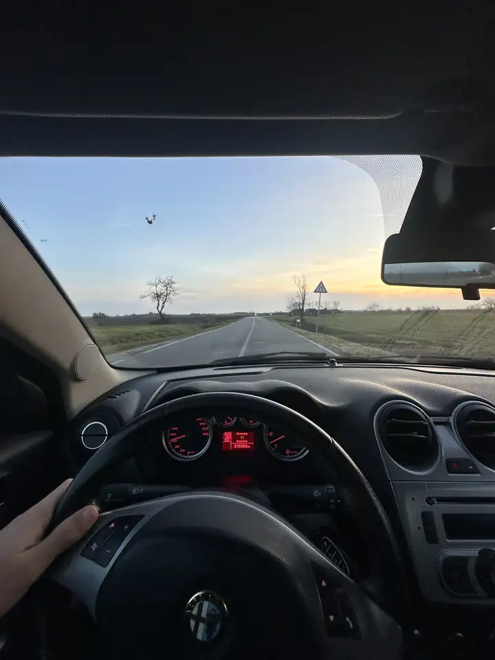Alfa Romeo MiTo 1.3 jtdm-2 BlackLine Collection 95cv — photo 1 of 3