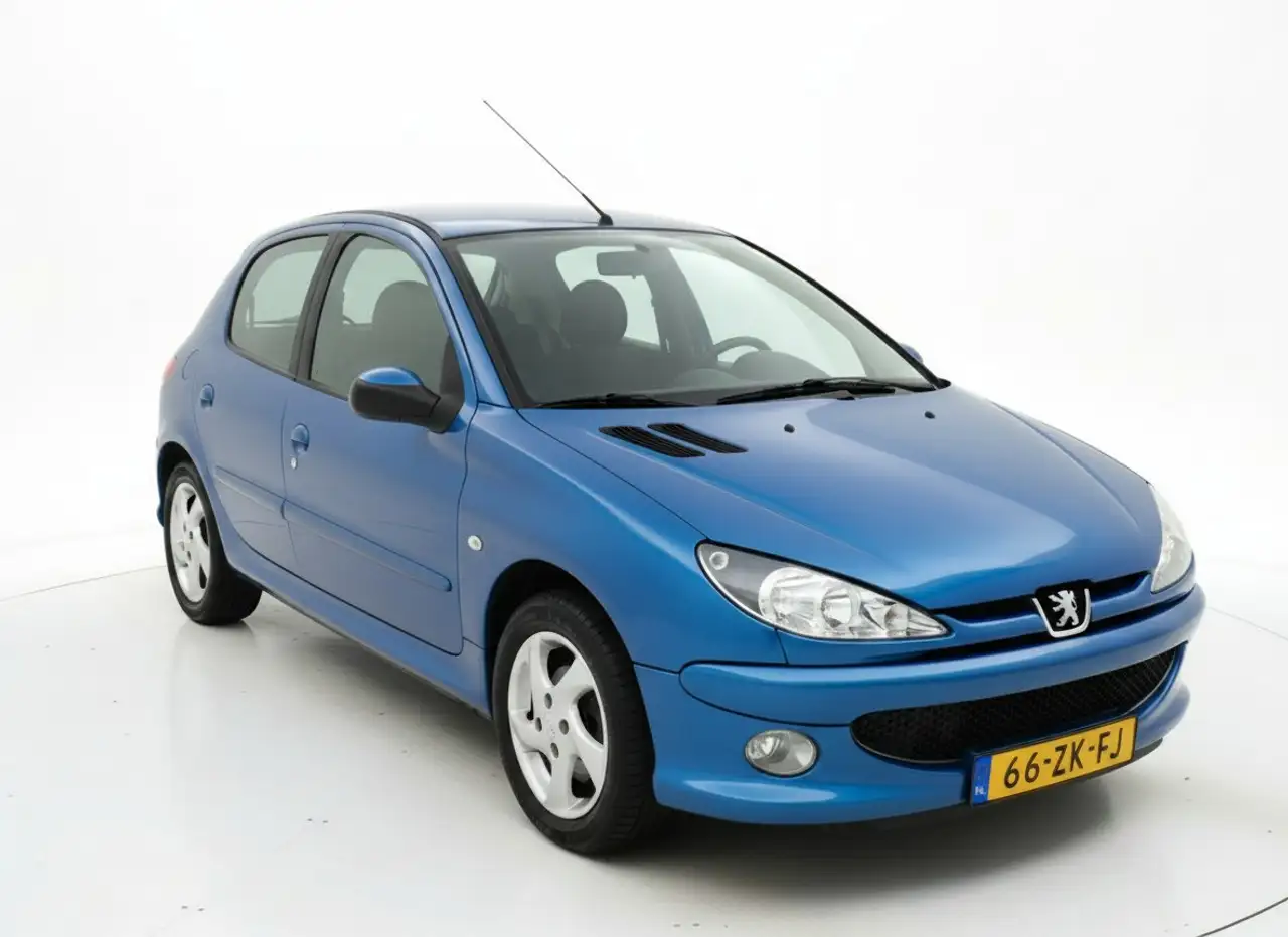 Peugeot 206 1.4 Forever Elektrische ramen-Radio — photo 1 of 20