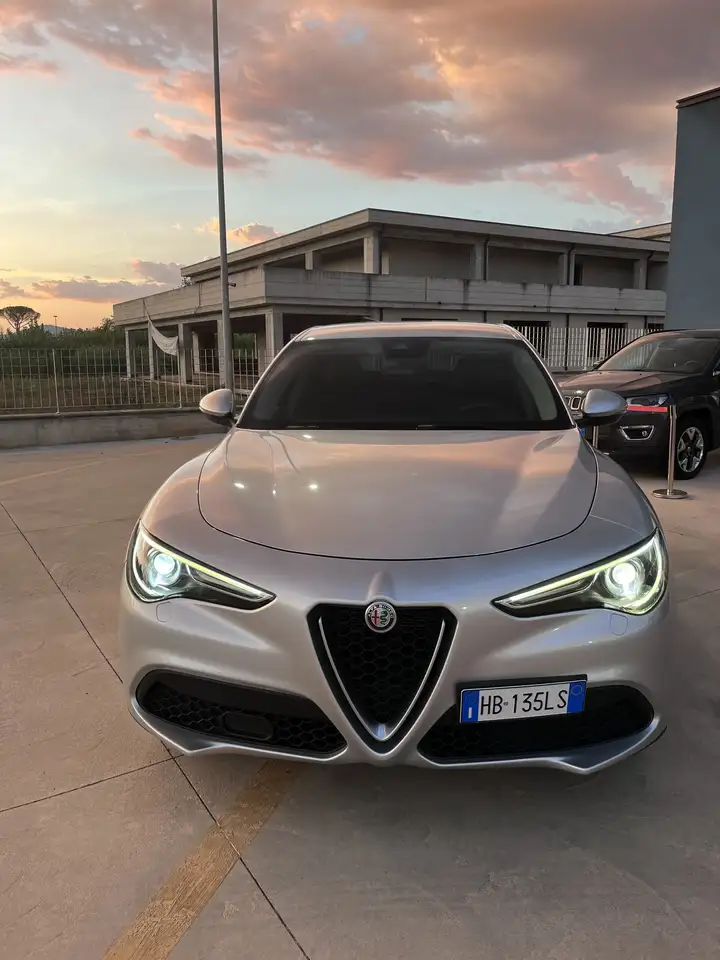 Alfa Romeo Stelvio 2.2 t Business rwd 160cv auto my19 — photo 1 of 6