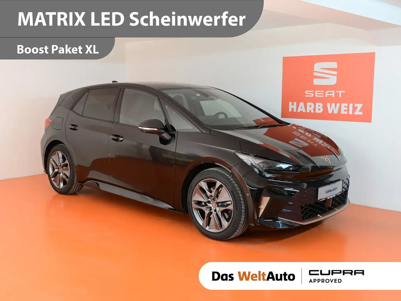 CUPRA Born ENDURANCE 79/84 170kW/231PS — photo 1 of 21