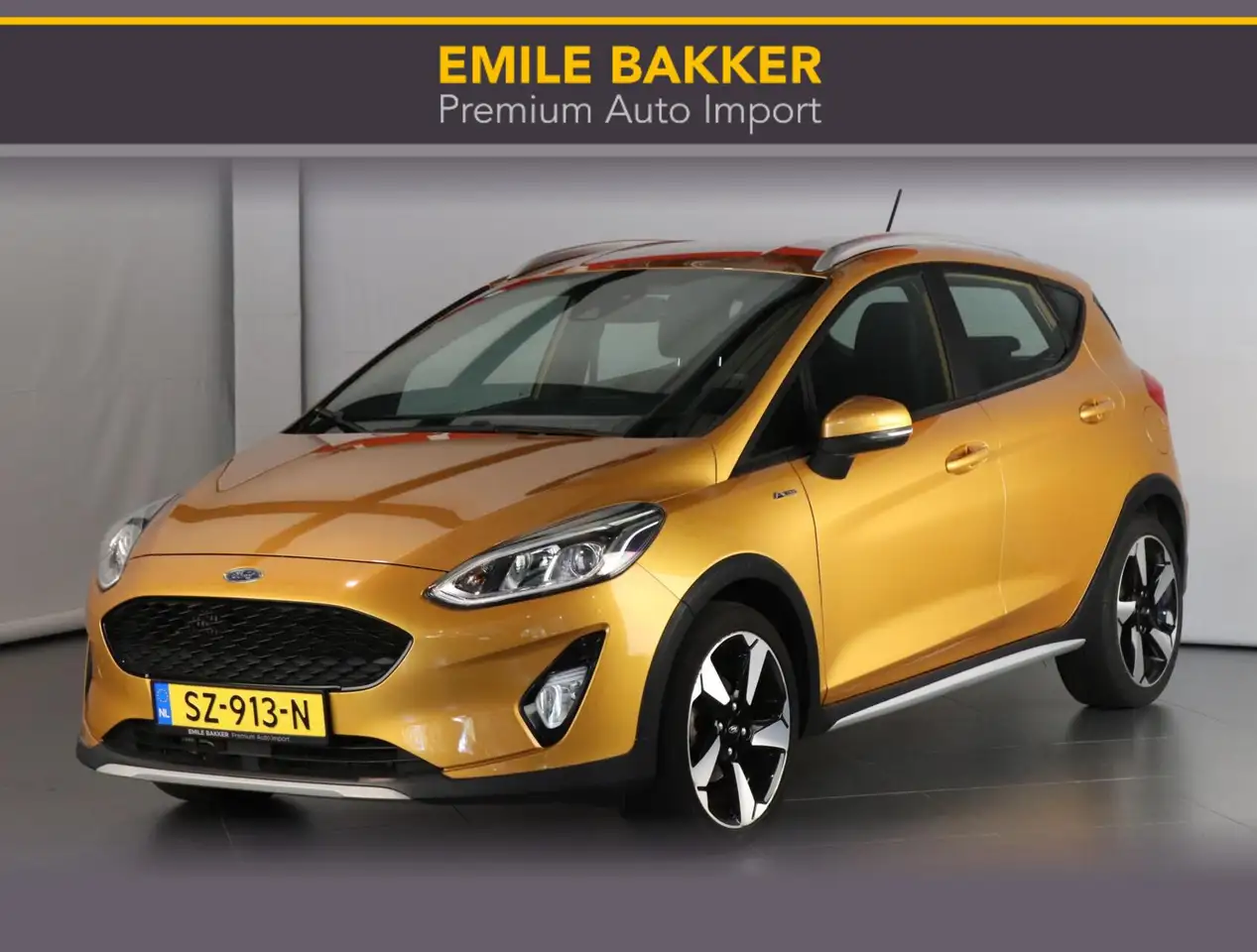 Ford Fiesta 1.0 EcoBoost Active — photo 1 of 40