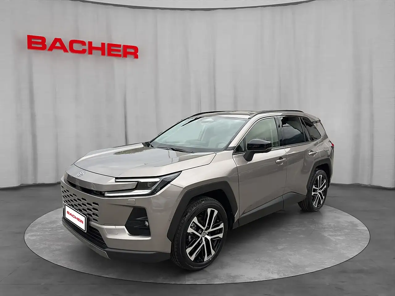 Toyota Sonstige RAV4 2,5 Hybrid Lounge 4WD Aut. — photo 1 of 19